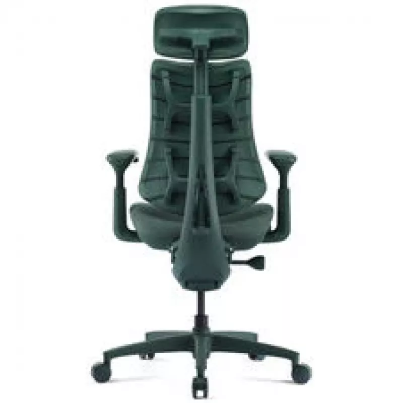 LiberNovo Omni Ergonomischer Bürostuhl mit aktiver Lendenwirbelstütze und Massage - Grün