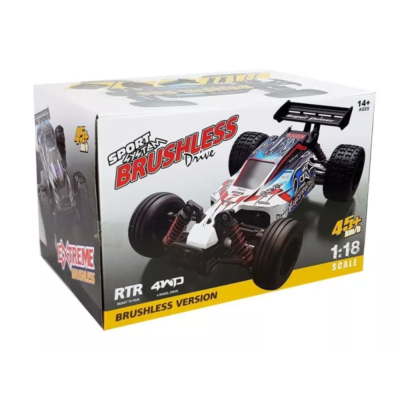 Enoze 9302E ferngesteuertes Rallyeauto 1:18, Blau