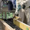 Makita DVR450RTE 18V LXT Akku-Flügelrüttler Set (2x5,0 Ah)