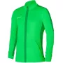 Nike Dri-FIT Academy 23 Herren-Sweatshirt Gorge Green L