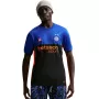 Nike Inter Mailand 2025/2026 Stadium Special Edition Herren-Fußballtrikot Schwarz/Blau IM6998 413 Größe L