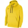 Nike Park 20 Hoodie Universitätsgold/Schwarz CW6957 719