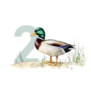 Ollo Katzenbeutel Nr. 2 Ente 85 g