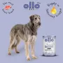 OLLO Plus Collagen Mono Lamb Nassfutter für Hunde 800g