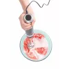 Progress EK6690PVDE 4-in-1-Stabmixer-Set