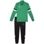 PUMA Herren Team Rise Trainingsanzug Forest Night / Puma Black Größe M