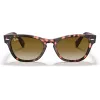 Ray-Ban Frank Square Sonnenbrille RB2201 133451 54/17/145 mm