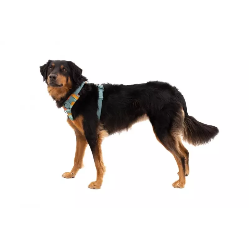 Ruffwear Front Range Geschirr XS - River Rock Green