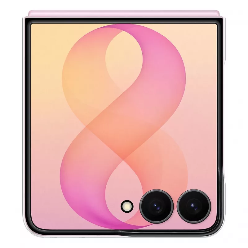 Samsung Clear Magnet Case für Galaxy Z Flip8 Transparent