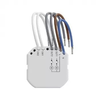 Satel Smart 2-Kanal-Relais PM Funk-Controller 230V AC ASW-220 mit Leistungsmessung