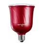 Sengled Pulse Master Red