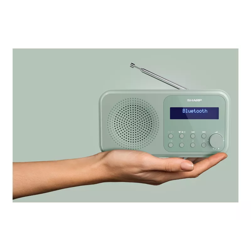 Sharp Tokyo DR-P420(GN) tragbares DAB+/FM-Radio, Bluetooth 5.0, Aquamarine Green