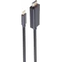 SHIVERPEAKS BASIC-S USB-C auf DisplayPort Kabel 1m 8K60Hz Schwarz (BS10-61045)