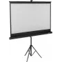 SpeaKa Professional Stativ-Leinwand 200 x 112 cm 16:9 SP-PST-350 SP-9430132