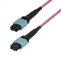 StarTech.com 10m MTP/MPO-12 Single-Mode OS2 LWL-Patchkabel - Push/Pull-Lasche