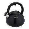 Tefal N4180410 Express Control Wasserkocher aus Edelstahl, 2,5 L, Induktion, Silber/Schwarz