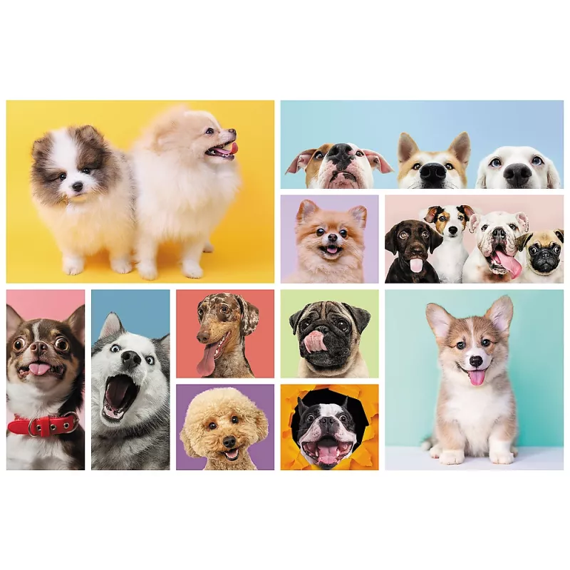 TREFL PUZZLE Puzzle 160 Dog Friendship Trefl 15412