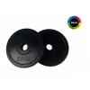 Tunturi Gummi-Gewichtsplatten 2,5 kg, Paar