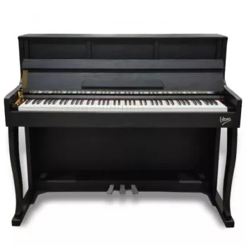 V-TONE PLF-256 BK Digitalpiano, Schwarz