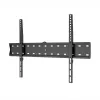 WINX MOUNT Einfache TV-Halterung, 37-70 Zoll, bis zu 40 kg